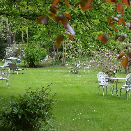 Hotel Villa Konigin Luise Bad Pyrmont Esterno foto